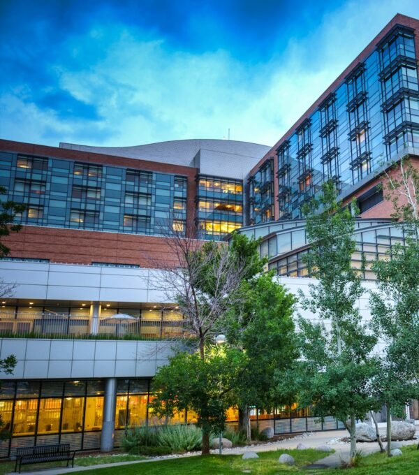 brown and white concrete building near green trees under blue sky during daytime