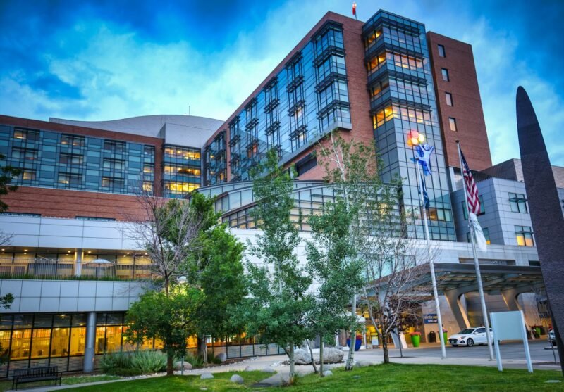 brown and white concrete building near green trees under blue sky during daytime